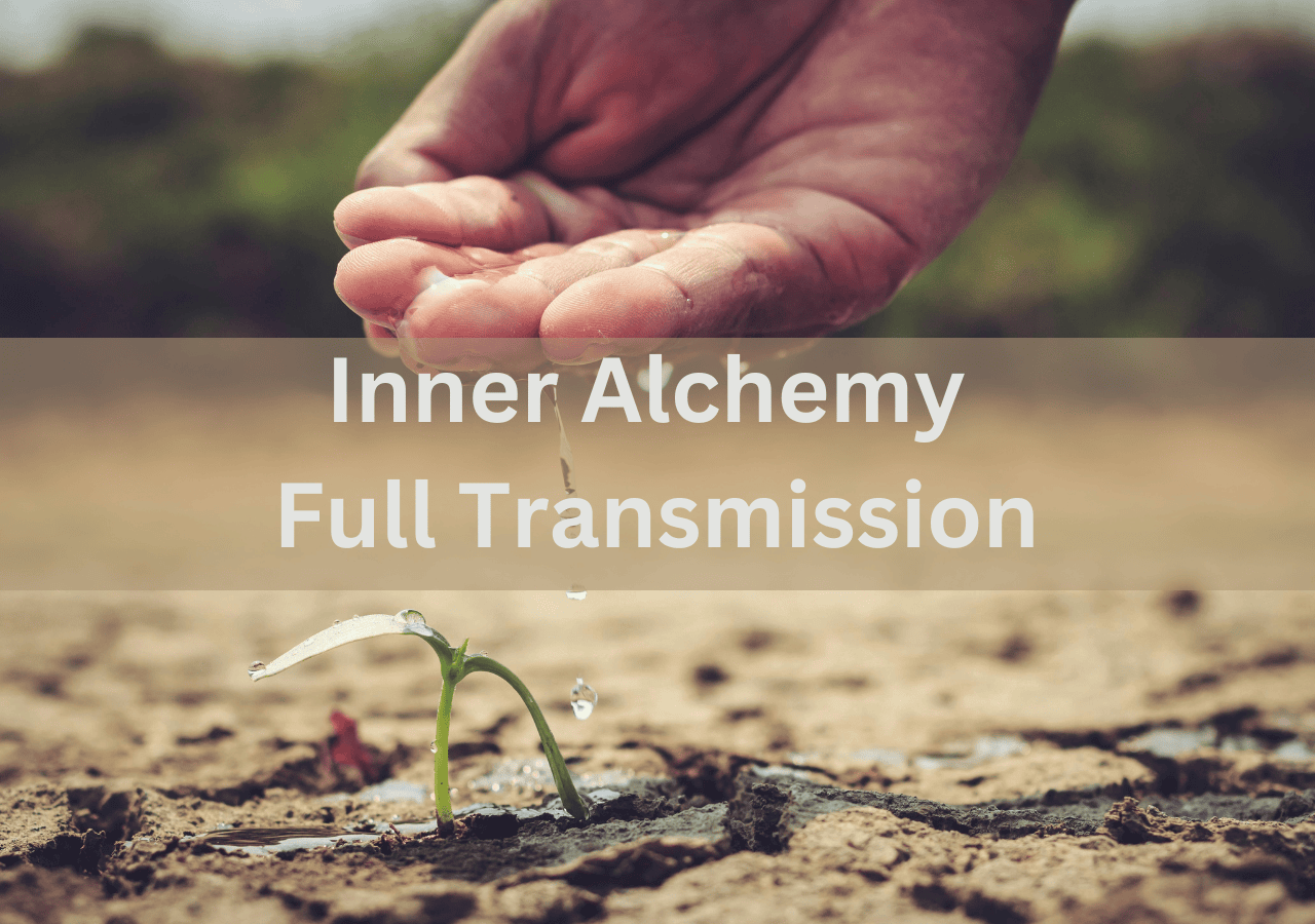 hand watering plant to grow